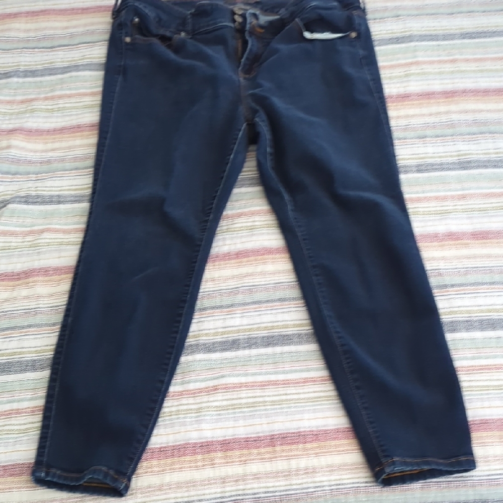 Torrid Dark Blue Skinny Jeans